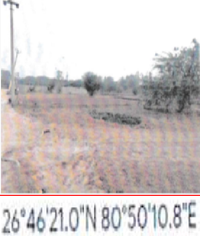 jadu01